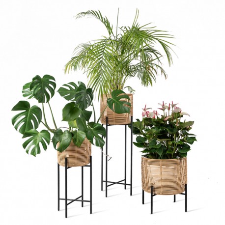 Vincent Sheppard Vivi Plant Stand Medium