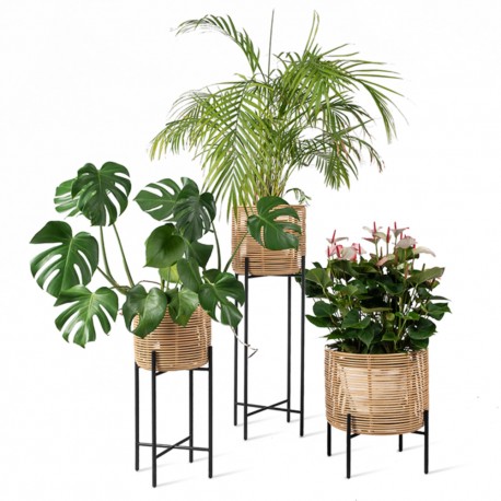 Vincent Sheppard Vivi Plant Stand Large