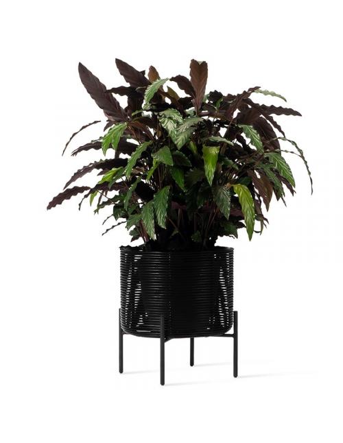 Vincent Sheppard Ivo Medium Plant Stand