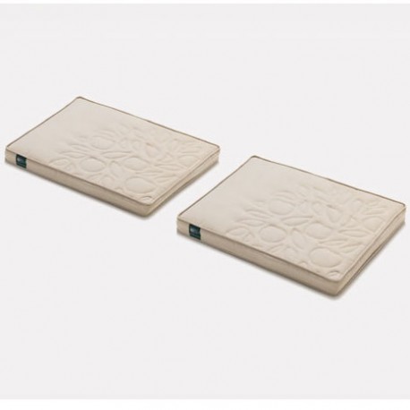 Kettler RHS Companion Seat Cushions (Pack of 2)